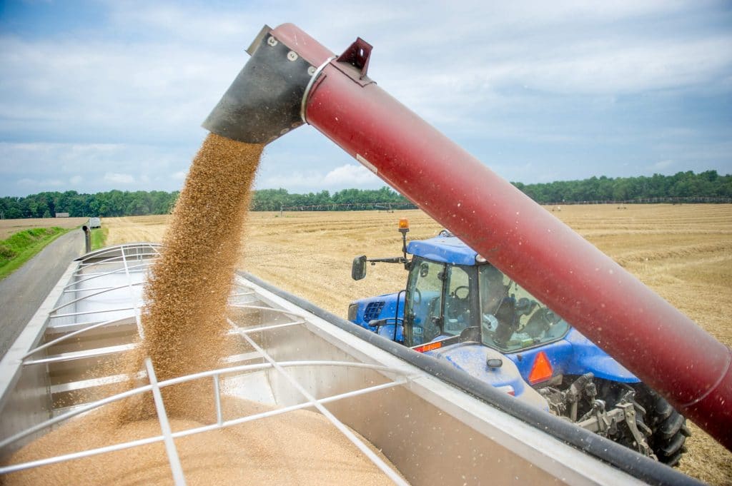 Record grain harvest: will Brazil be able to maintain this level for next years?