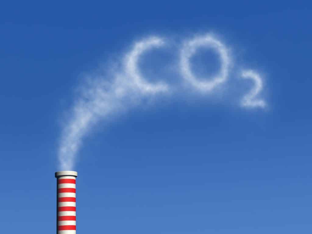 Maritime operations with neutral carbon: know the main benefits!
