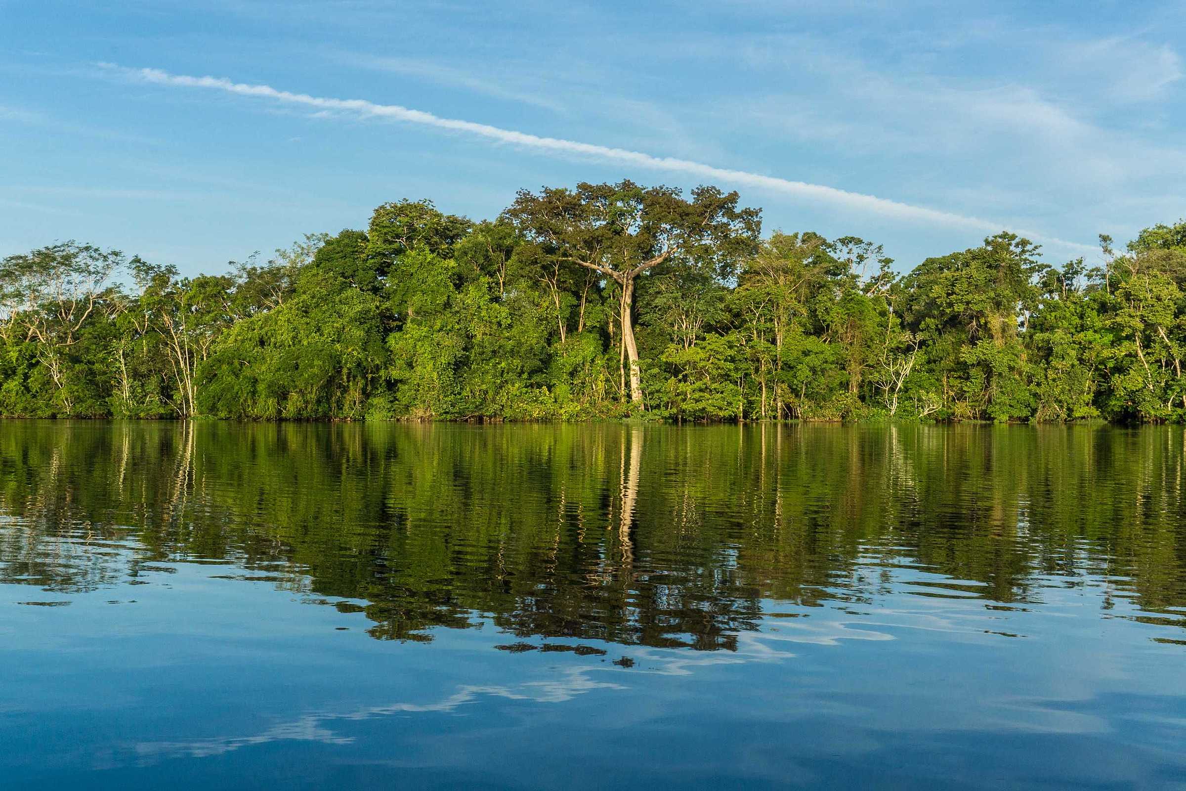 Navegação no Rio Amazonas: conheça as particularidades dessa manobra