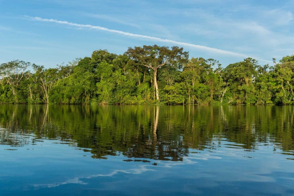 Navigation on the Amazon River: learn about the particularities of this maneuver