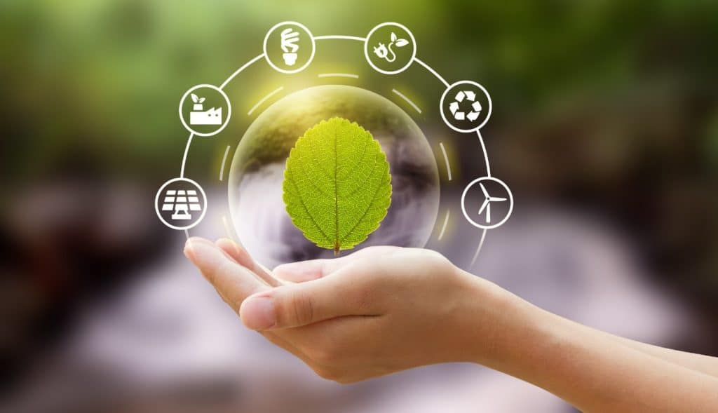 Logística sustentável: por que deve ser uma prioridade?