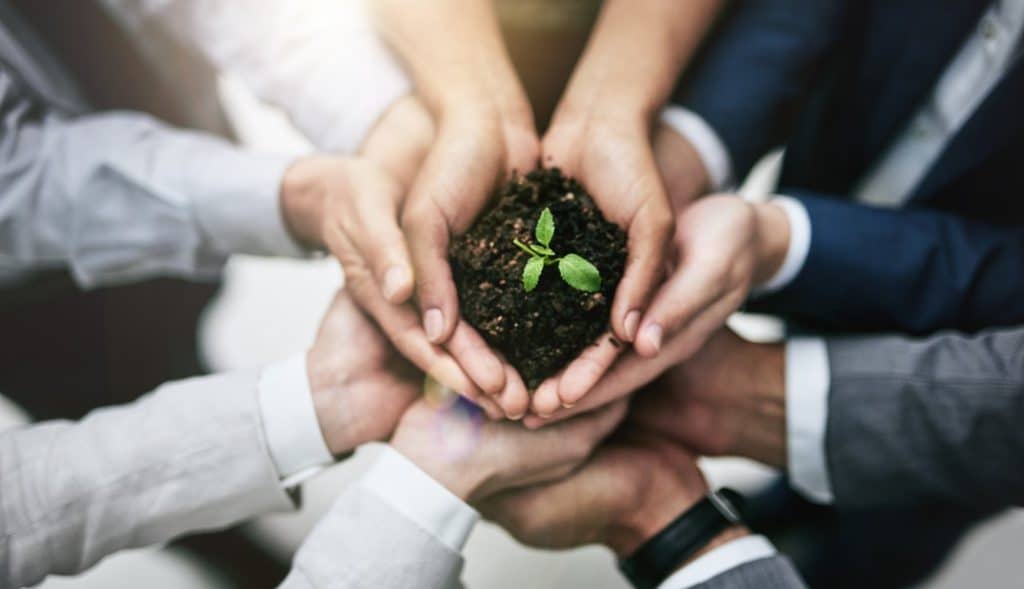ESG practices in focus, check out the Wilson Sons Sustainability Report